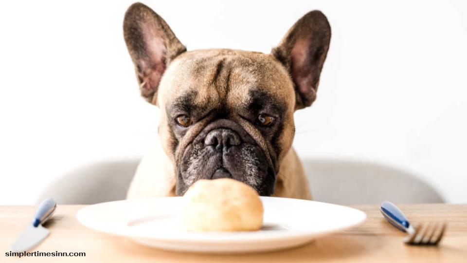 สุนัขสามารถกินน้ำตาลได้หรือไม่?