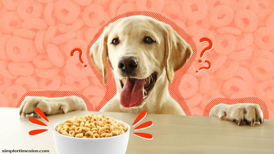 สุนัขสามารถกินซีเรียลได้หรือไม่?