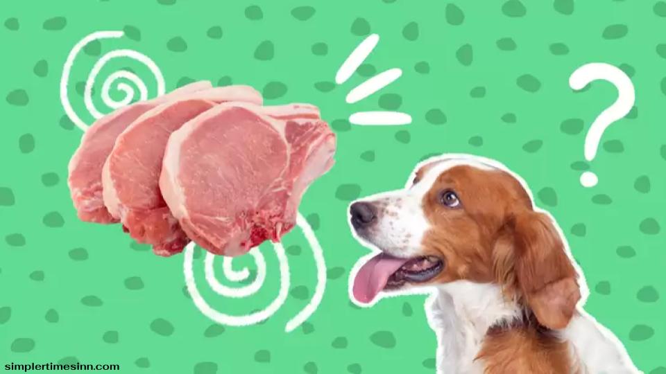 สุนัขสามารถกินหมูได้หรือไม่?