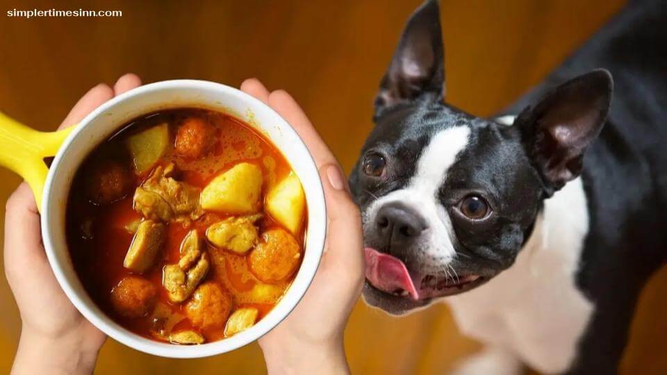 สุนัขสามารถกินแกงได้หรือไม่?