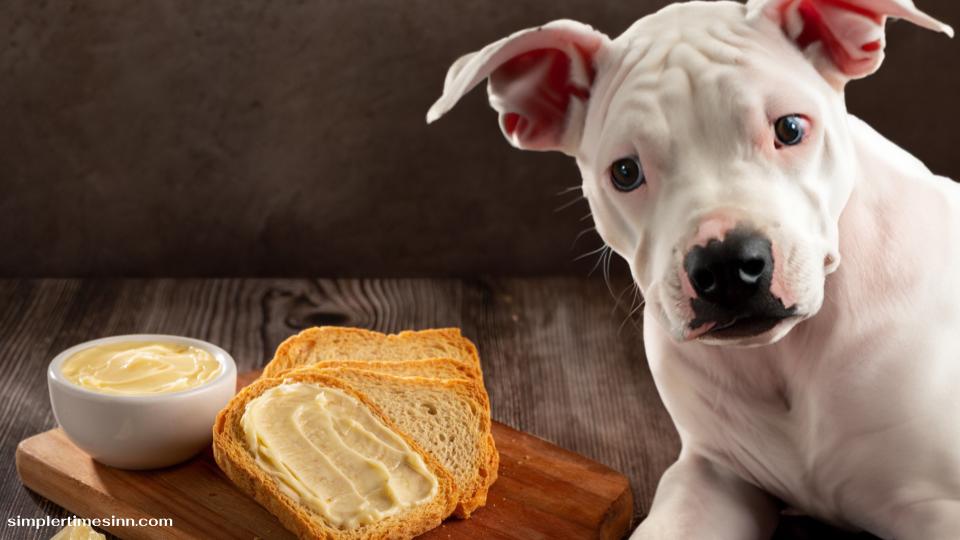 สุนัขสามารถกินขนมปังปิ้งกับเนยได้หรือไม่?
