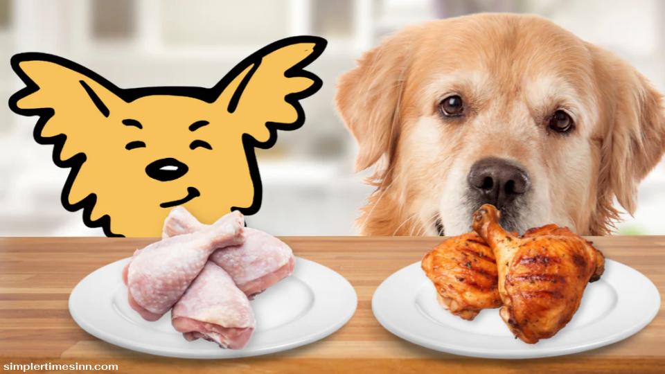 สุนัขสามารถกินไก่ดิบได้หรือไม่?