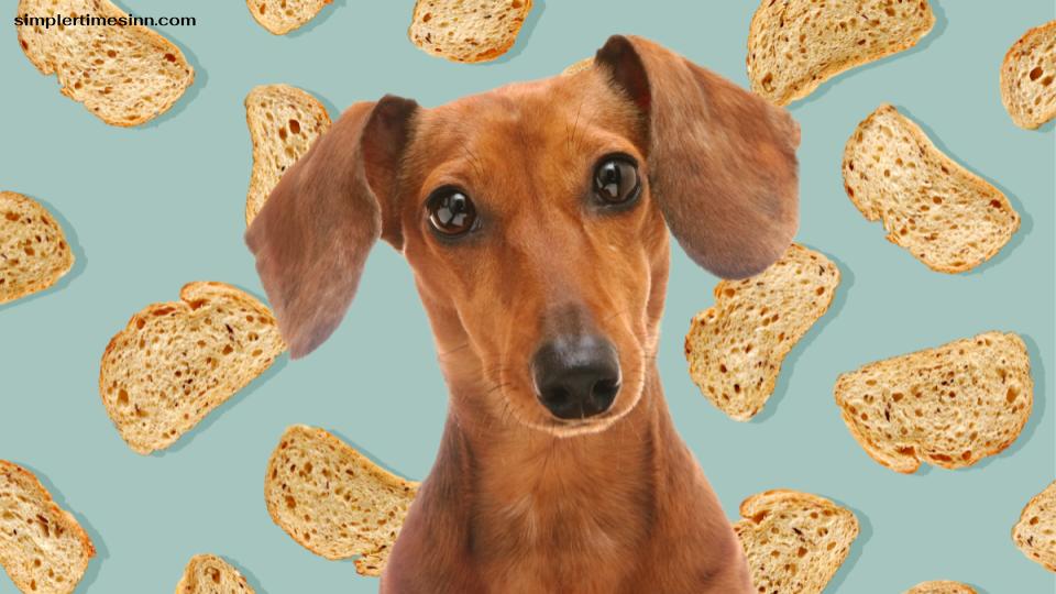 สุนัขสามารถกินขนมปัง Sourdough ได้หรือไม่?