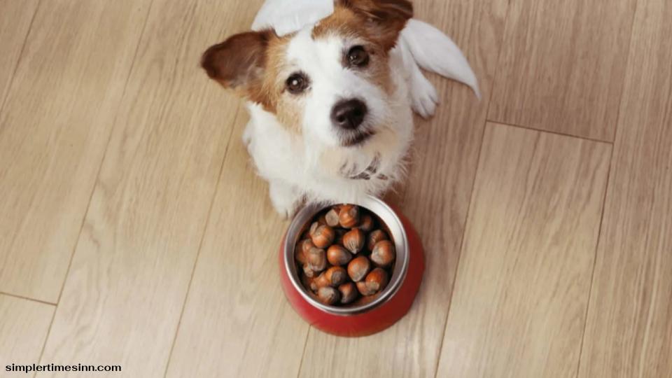 สุนัขสามารถกินเกาลัดได้หรือไม่?