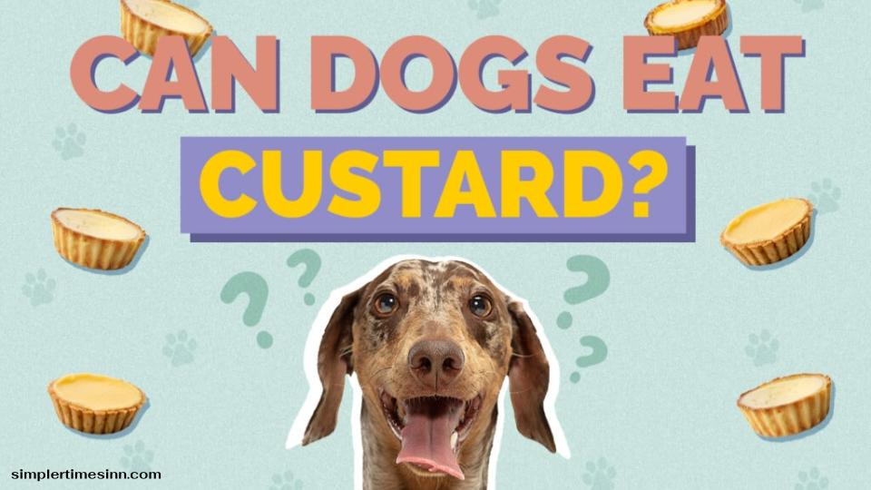 สุนัขสามารถกินคัสตาร์ดได้หรือไม่?