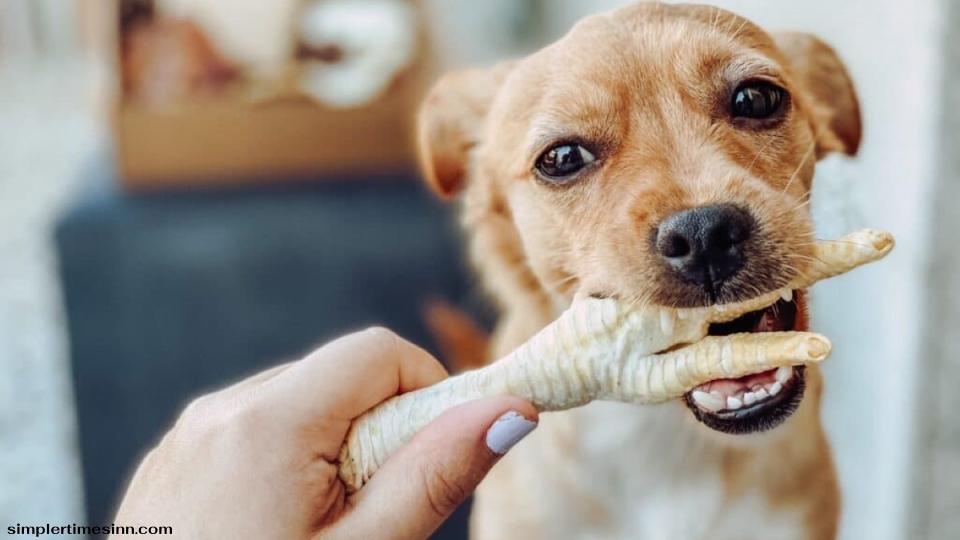 สุนัขสามารถกินตีนไก่ได้หรือไม่?