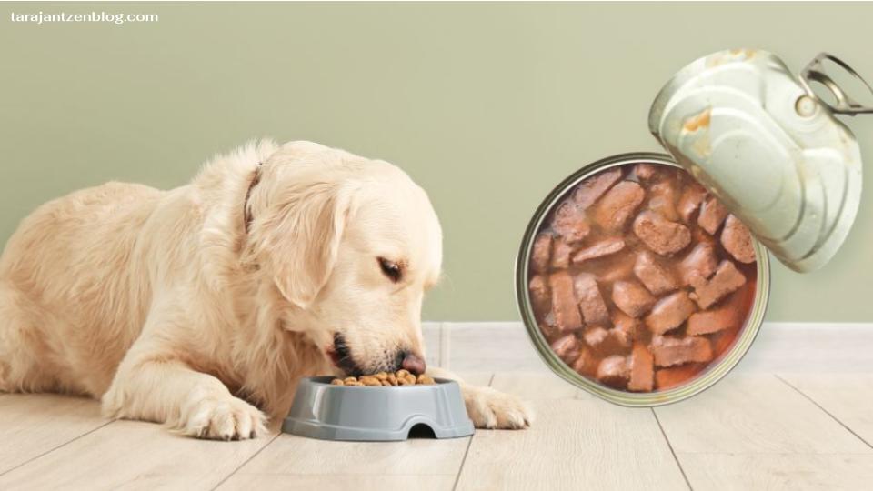 ข้อดีและข้อเสีย : อาหารสุนัขกระป๋อง