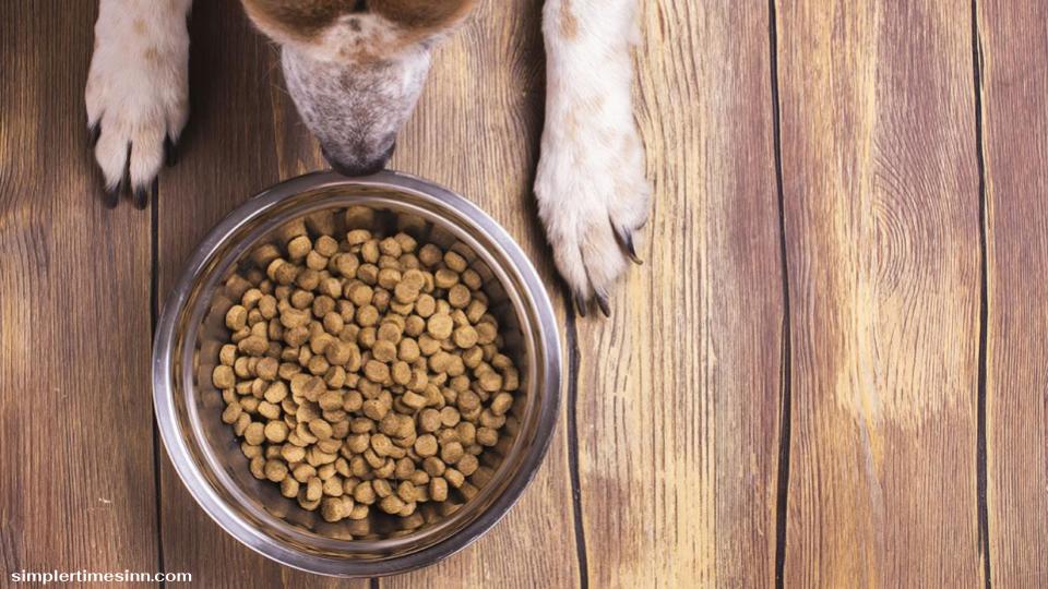 วิธีการเปลี่ยนอาหารสุนัขอย่างถูกวิธี เป็นเรื่องที่ต้องทำอย่างระมัดระวังและค่อยเป็นค่อยไป หากเปลี่ยนอาหารเร็วเกินไป