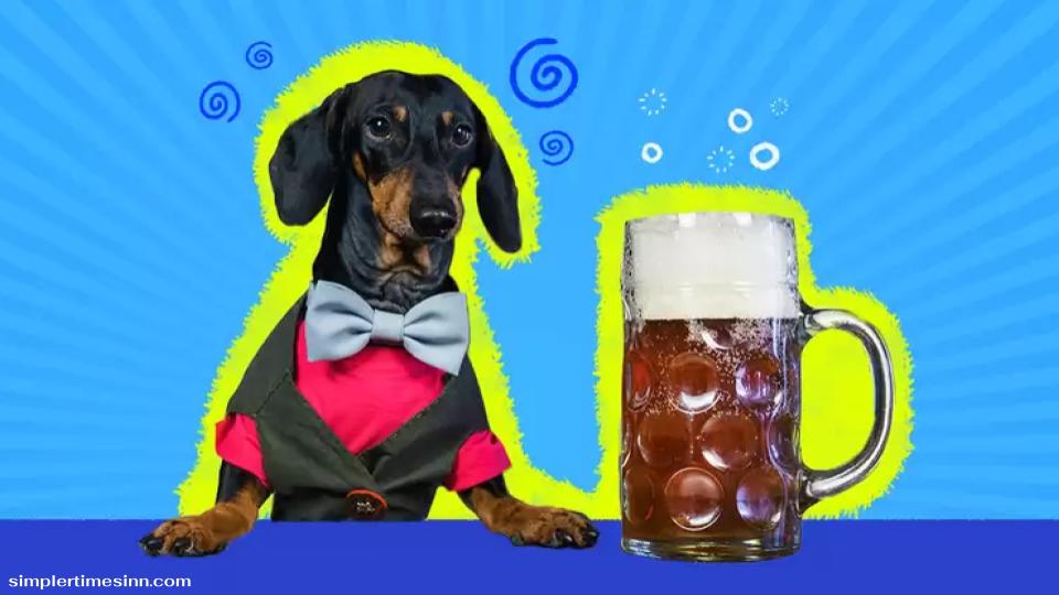 สุนัขสามารถดื่มเบียร์ได้หรือไม่?