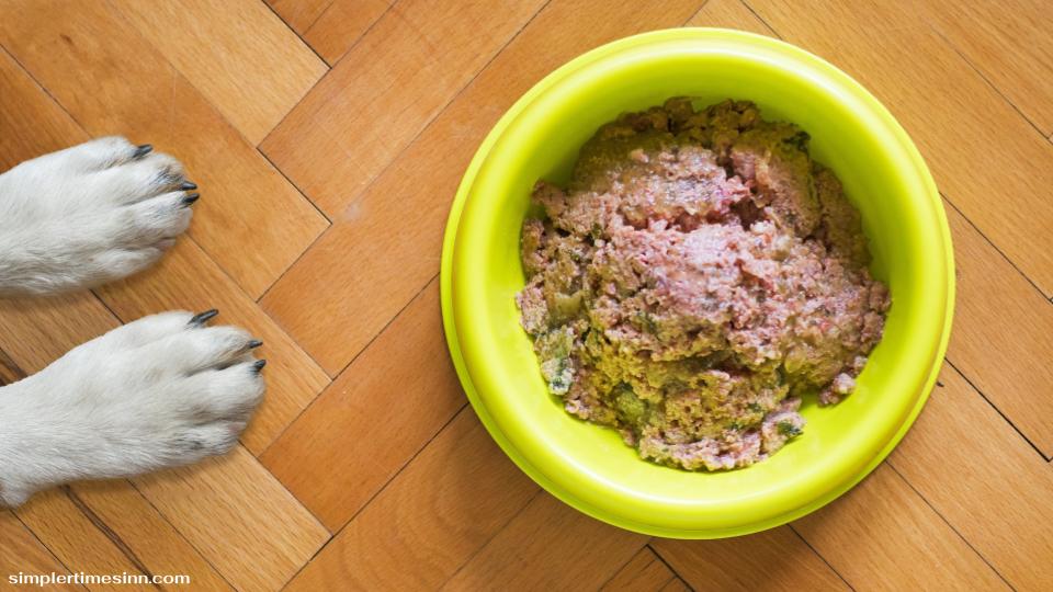 สุนัขสามารถกินอาหารกระป๋องได้ แต่ควรให้อย่างพอเหมาะและควบคู่ไปกับอาหารชนิดอื่น ๆ รวมถึงต้องเลือกซื้ออาหารกระป๋องคุณภาพดี 