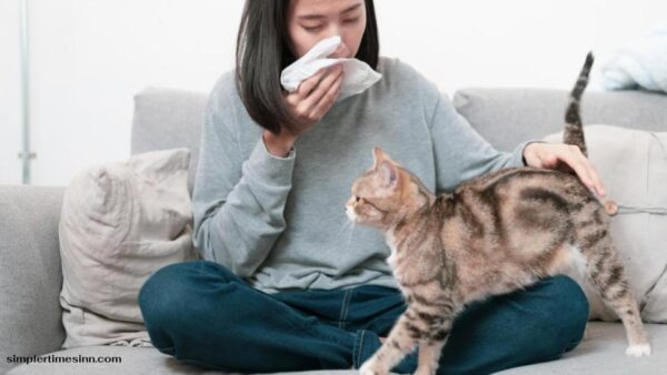 ภูมิแพ้ในแมว เกิดขึ้นได้หรือเปล่า และเจ้าของควรสังเกตยังไง